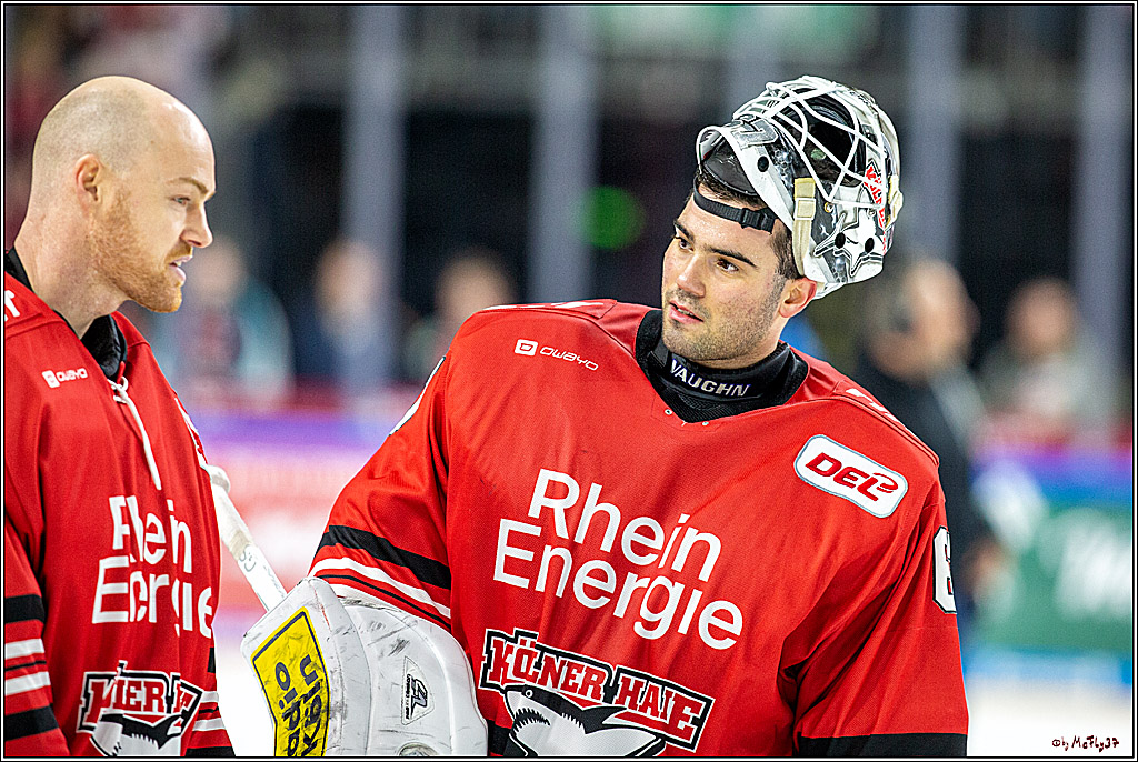 DEL;  Koelner Haie - Eisbaeren Berlin; Koeln, 12.01.2020